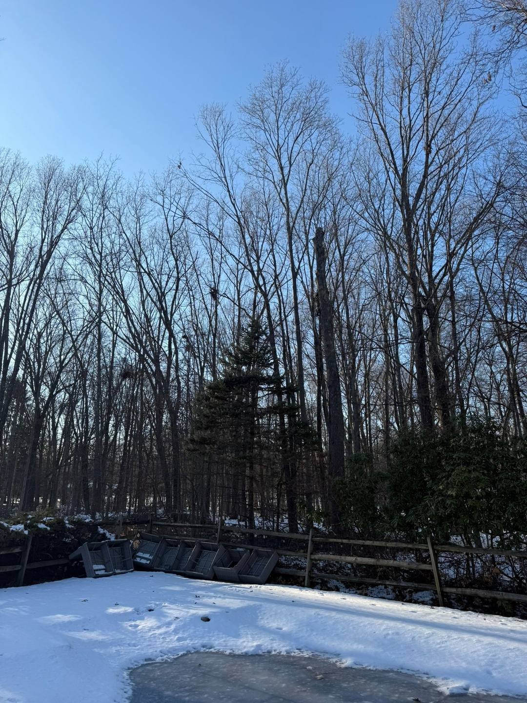 Firewood — Trailblazer Turf & Timber