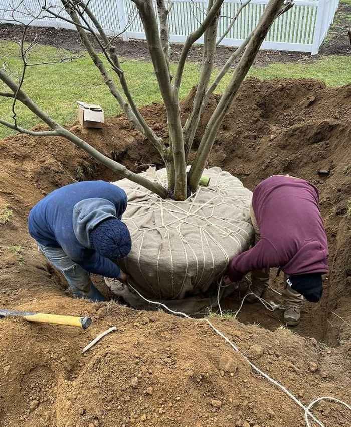 Landscaping — Trailblazer Turf & Timber