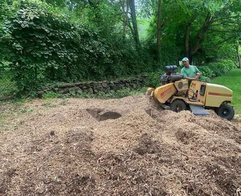 Stump Grinding — Trailblazer Turf & Timber